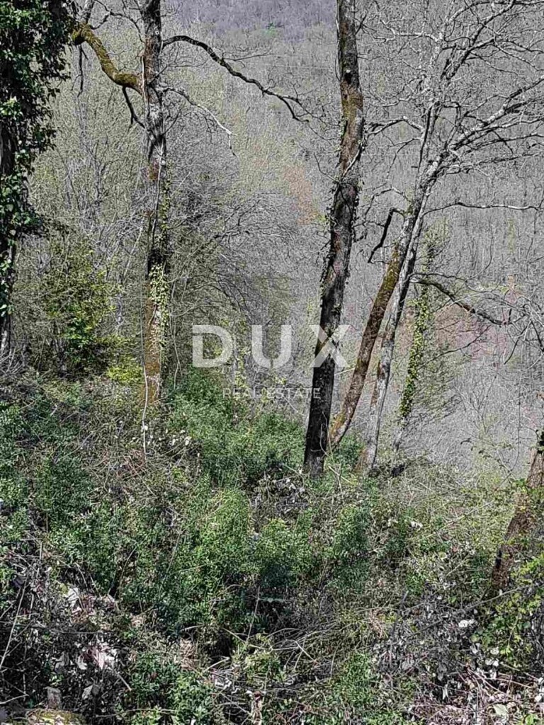 Image 18