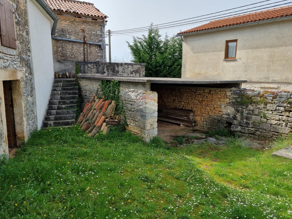 Image 12
