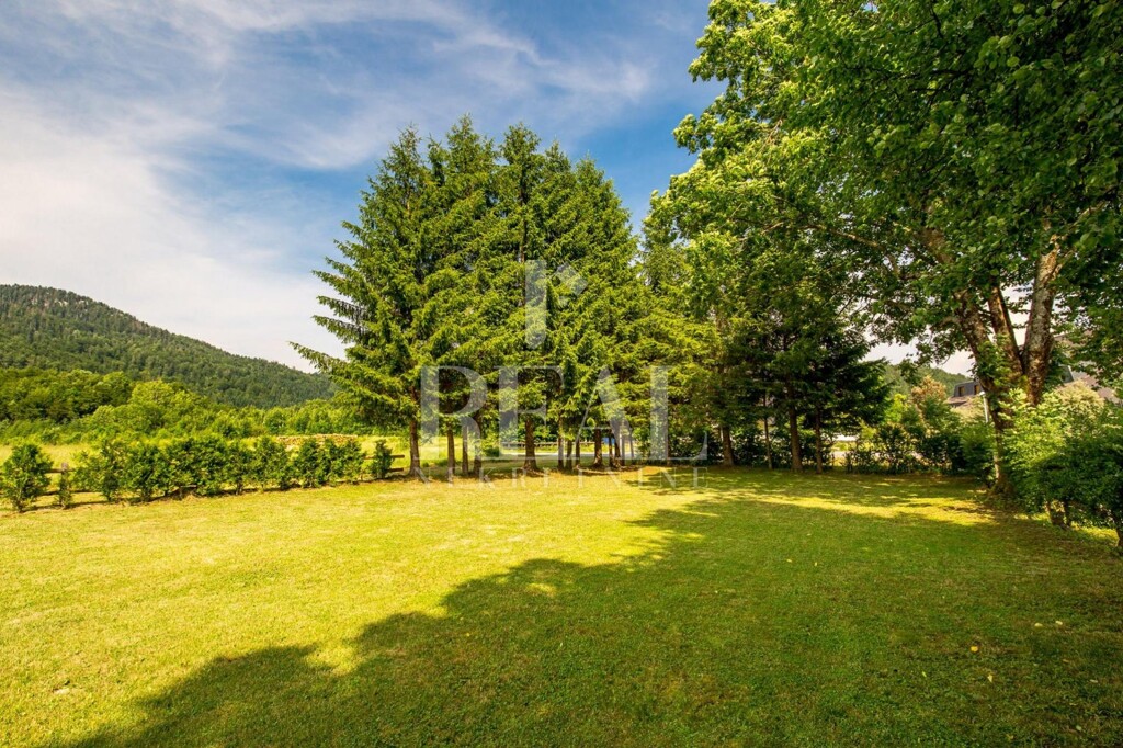 Image 10