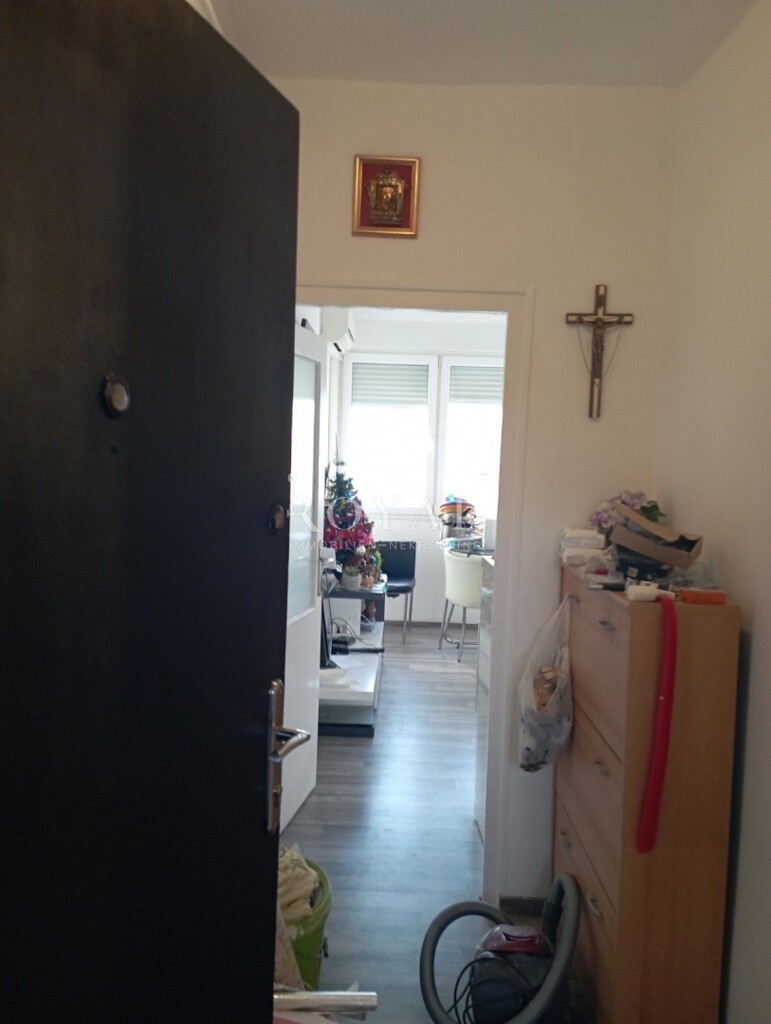 Image 13