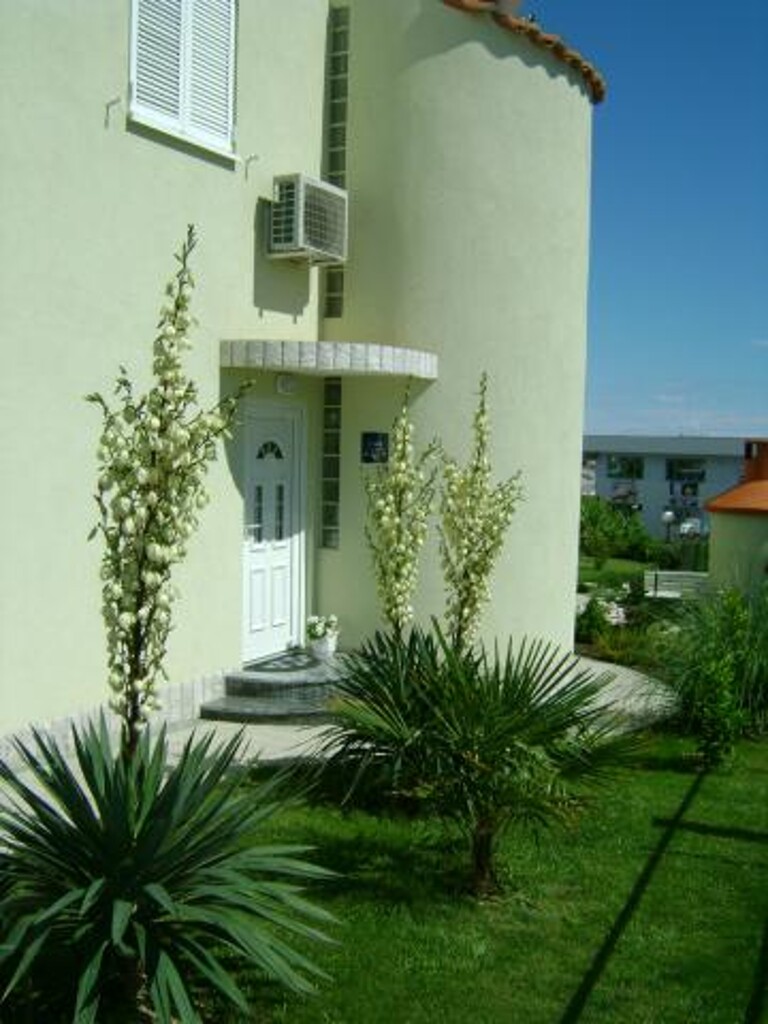 Image 3838734 - 3