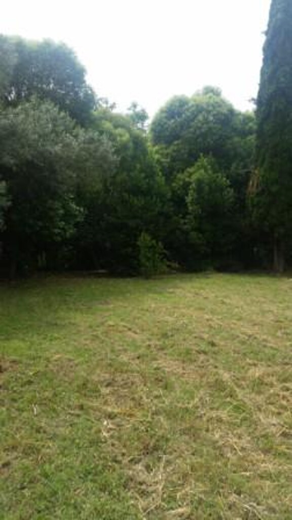 Image 3812834 - 8