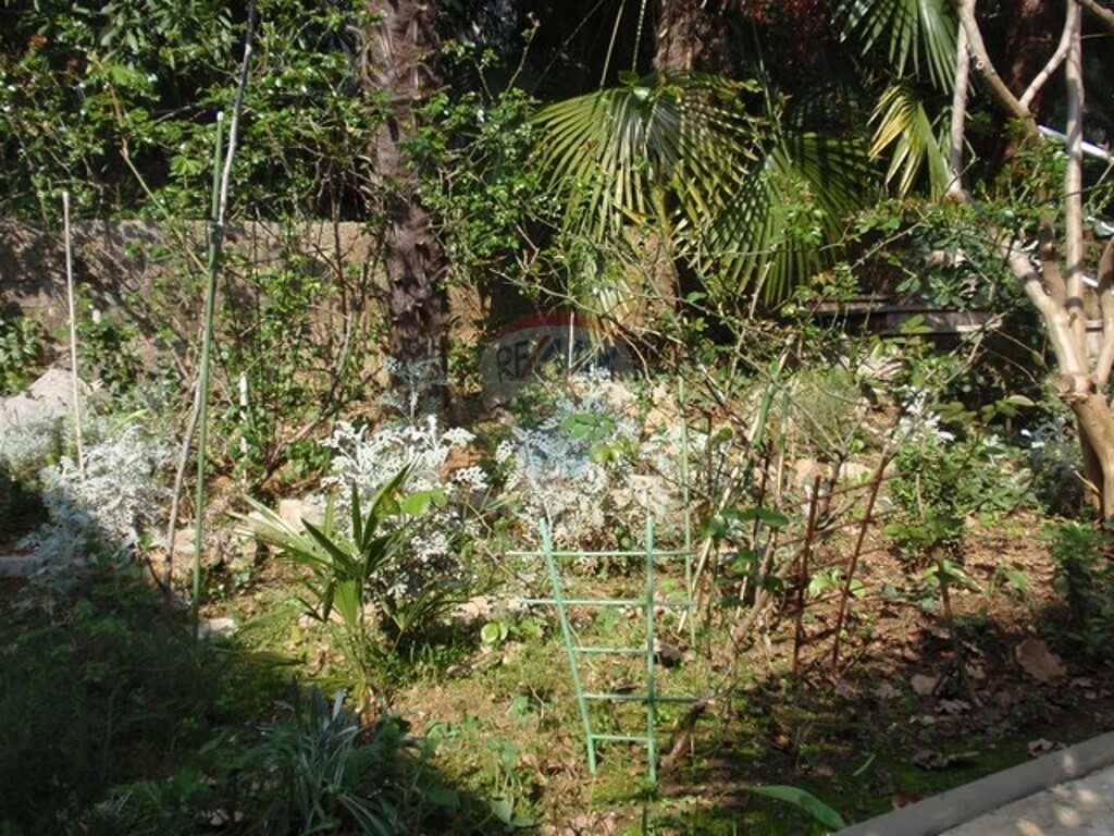 Image 5411062 - 12