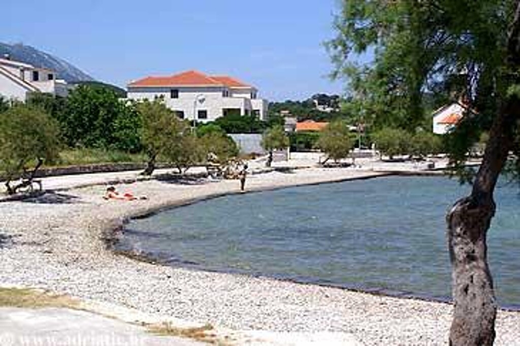 Image 3812405 - 6