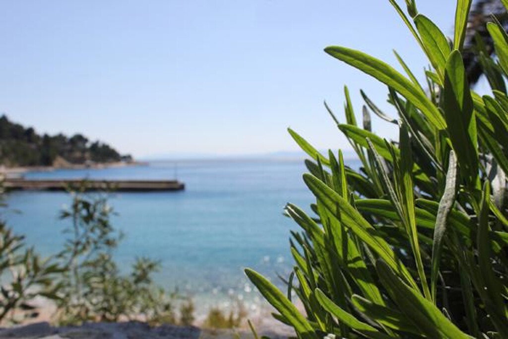 Image 3811426 - 10