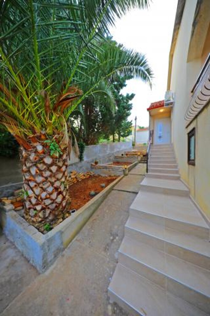 Image 3814817 - 7