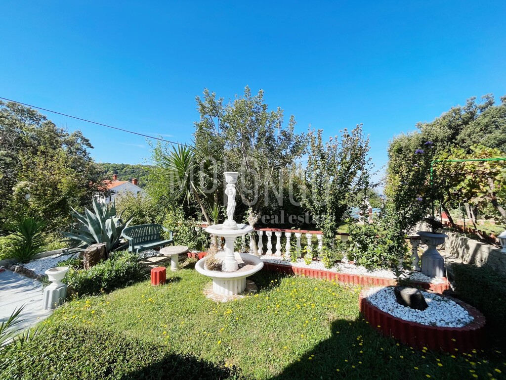 Image 12