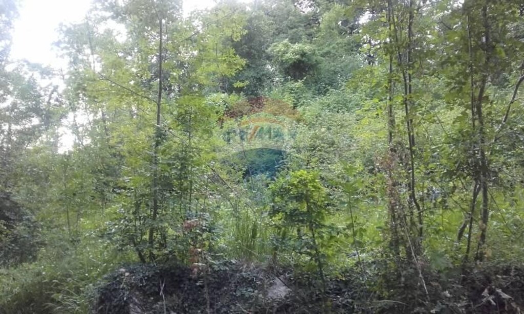 Image 5410095 - 1