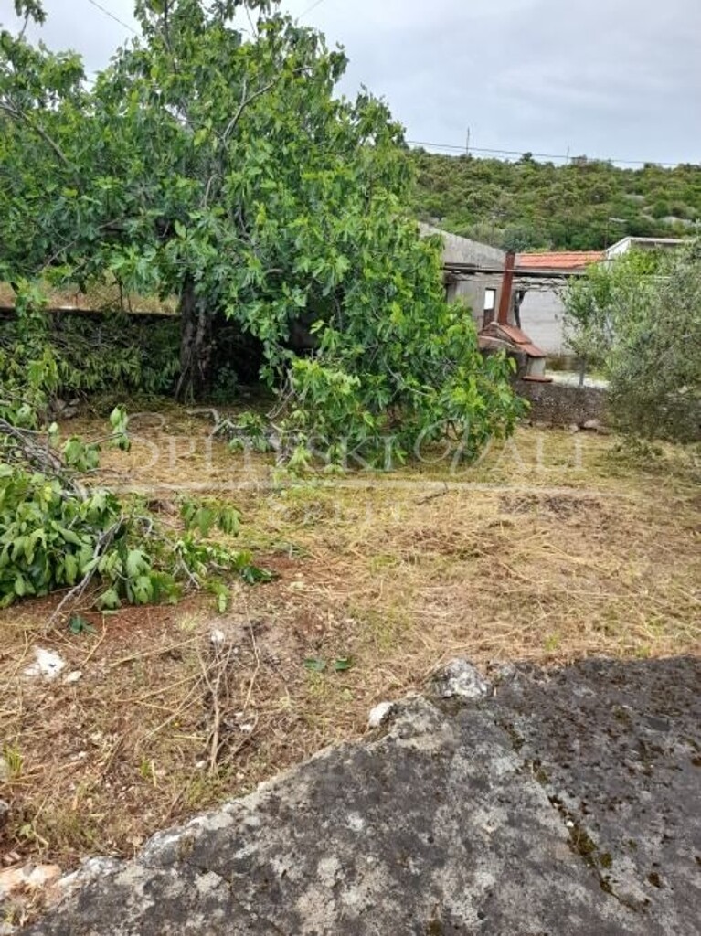 Image 14