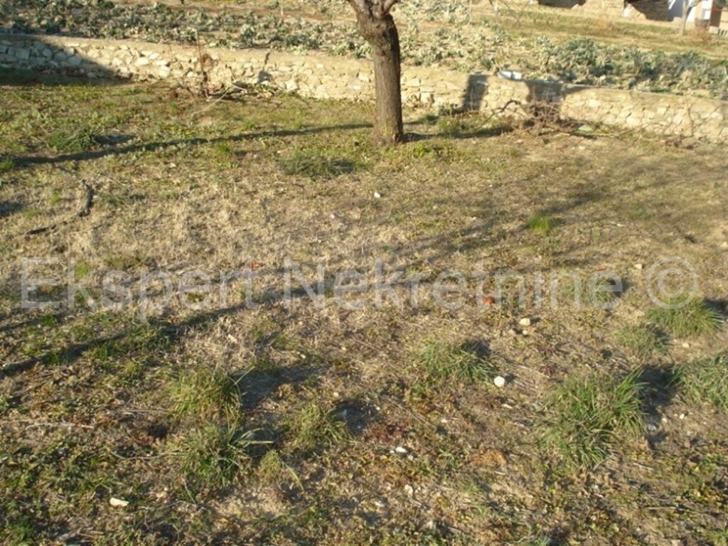 Image 9