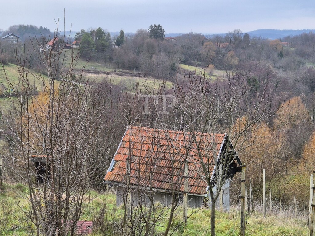 Image 21