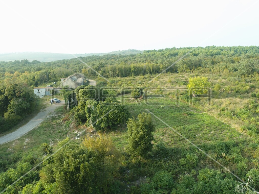 Image 14