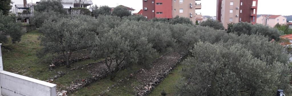 Image 3838999 - 19