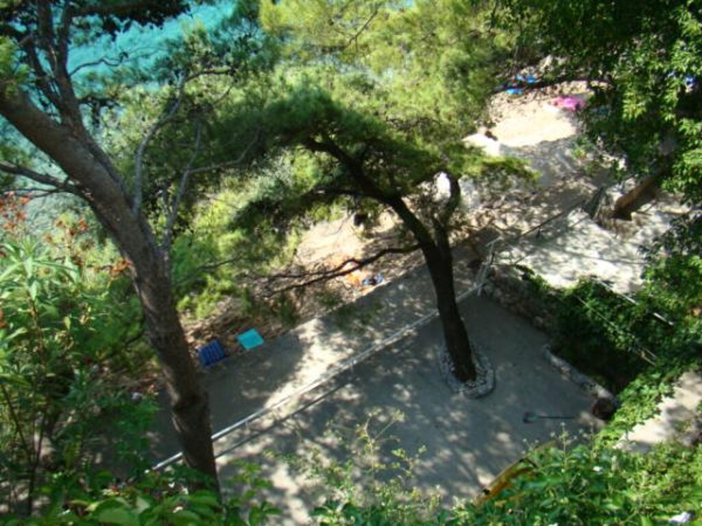 Image 3838455 - 7
