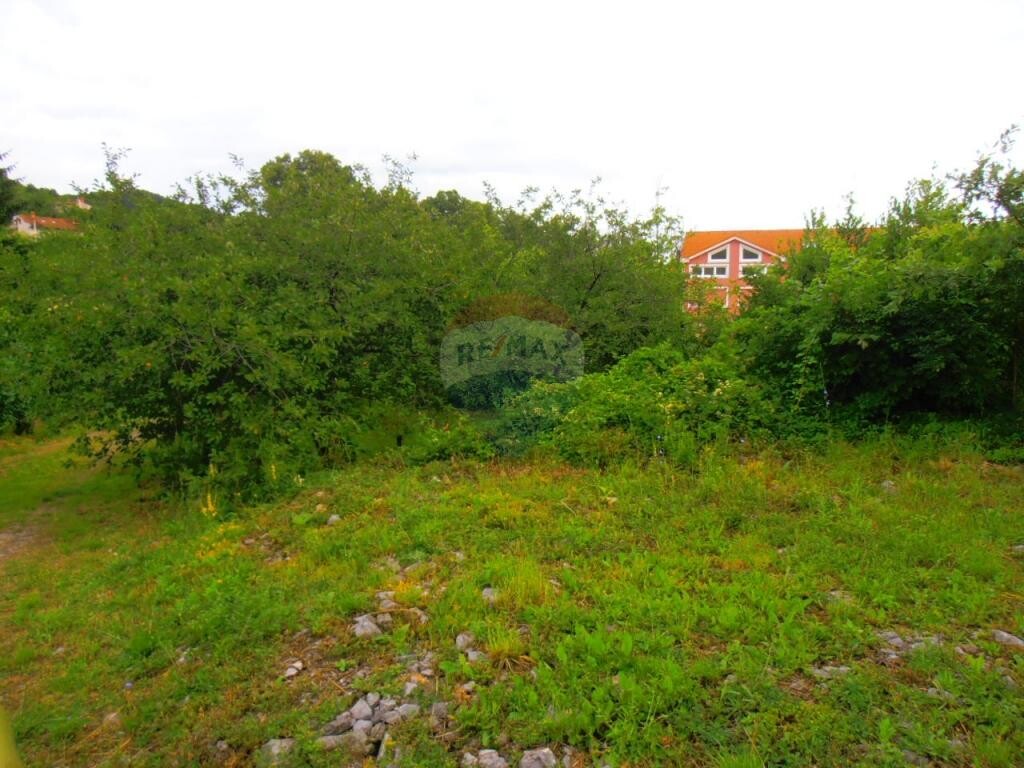 Image 5411006 - 2