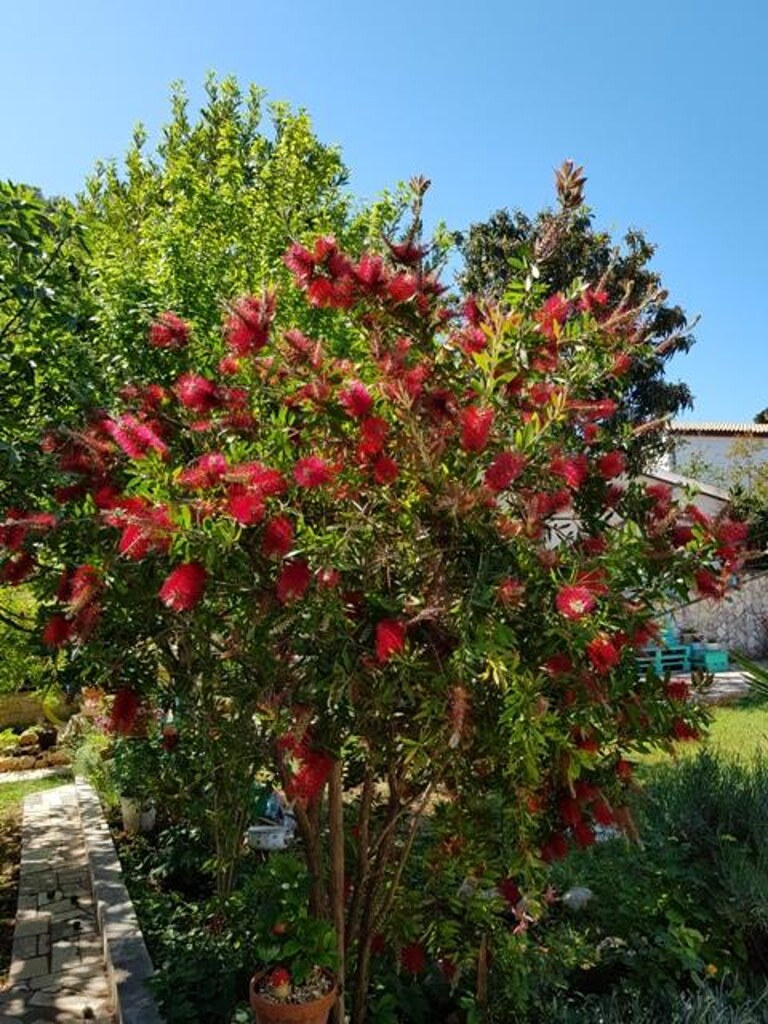 Image 3810733 - 14