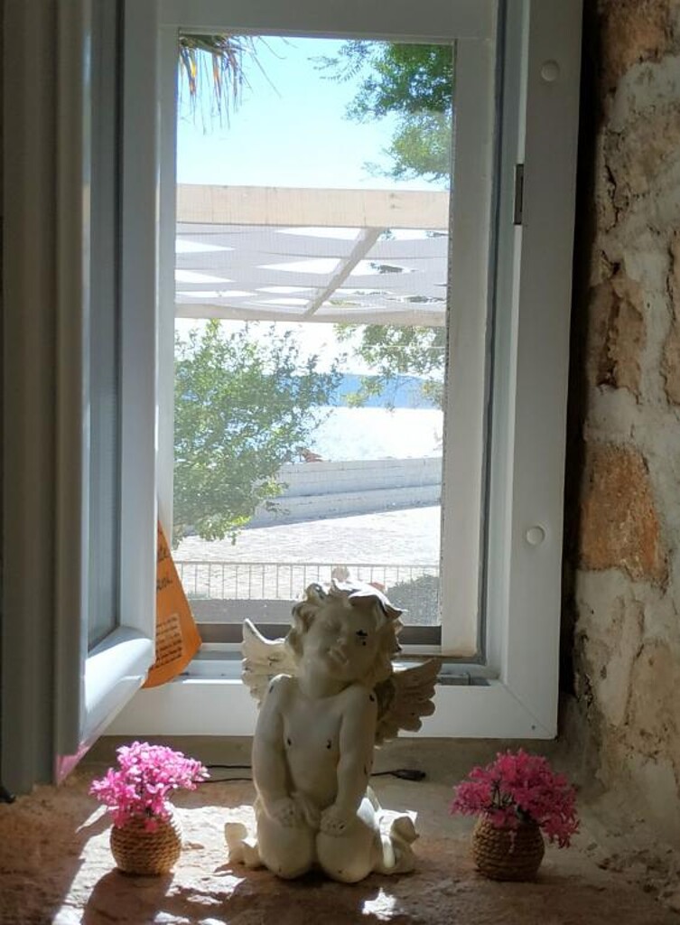 Image 15