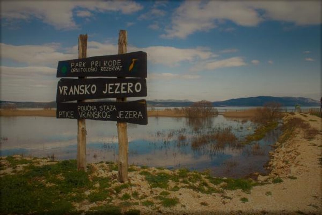 Image 3813001 - 34