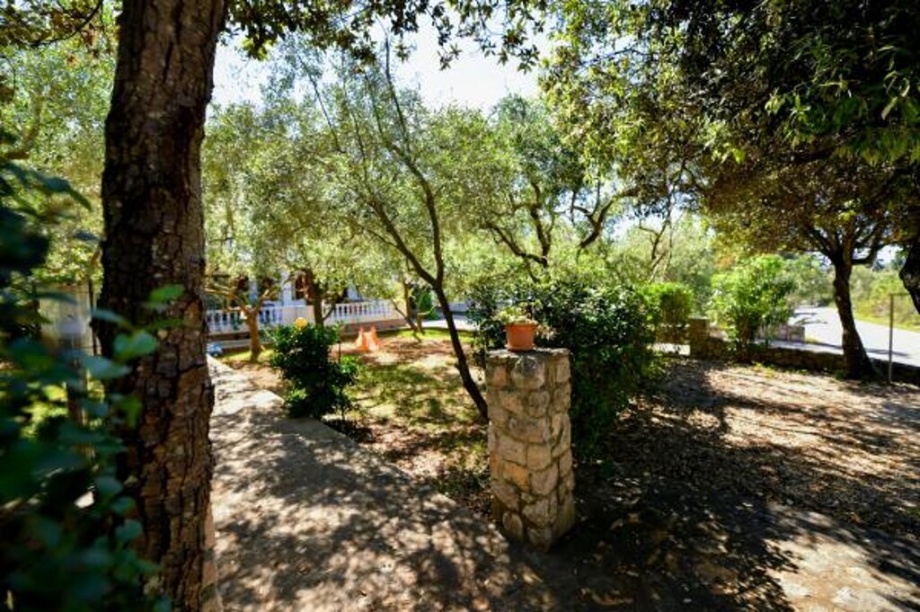 Image 3821703 - 26