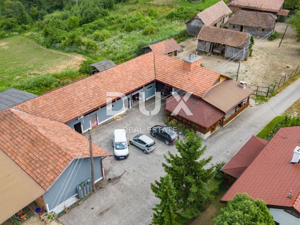Image 10