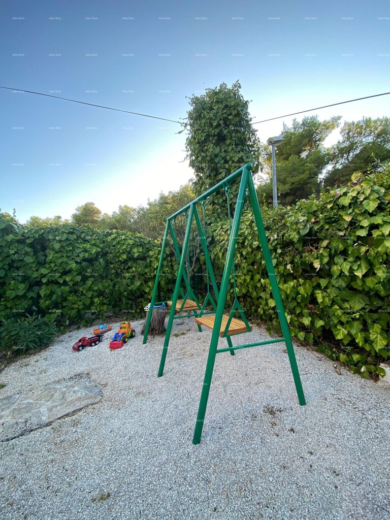 Image 12