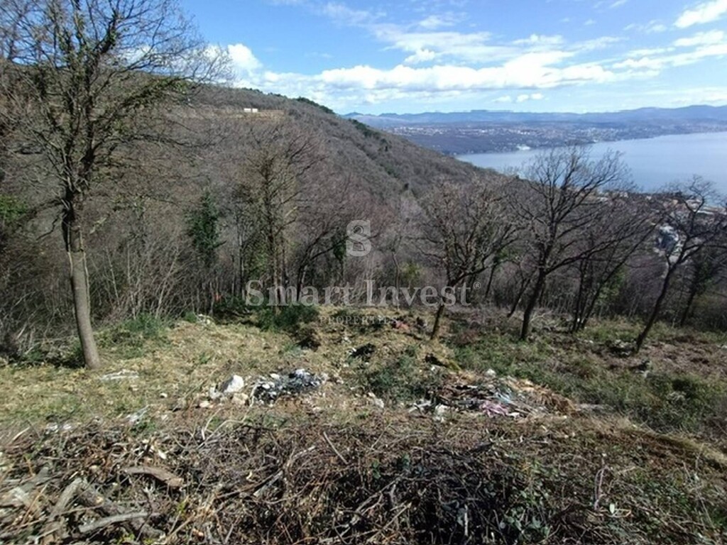 Image 15