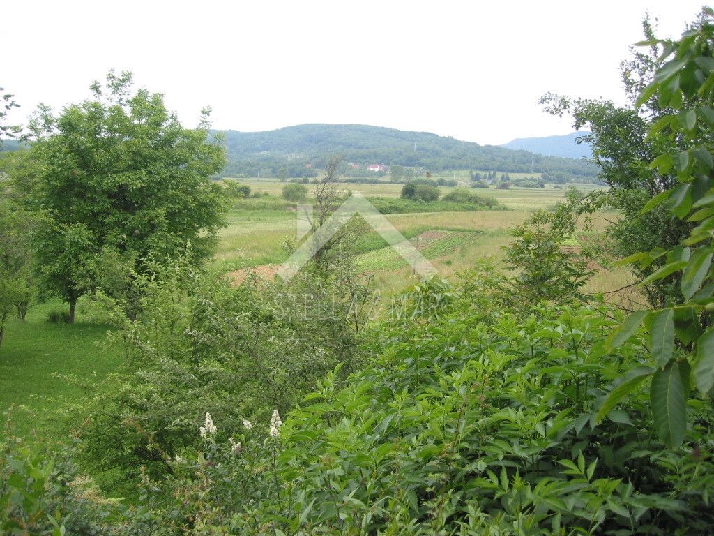Image 5195037 - 10
