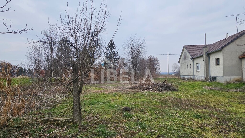 Image 14
