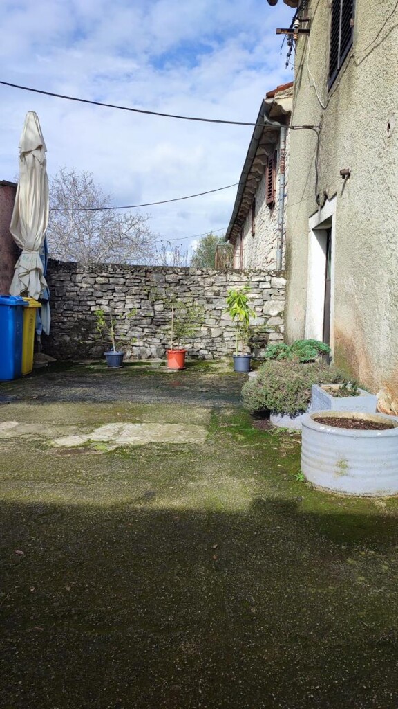 Image 14