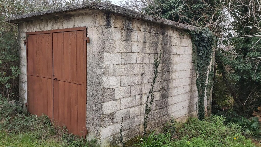 Image 10