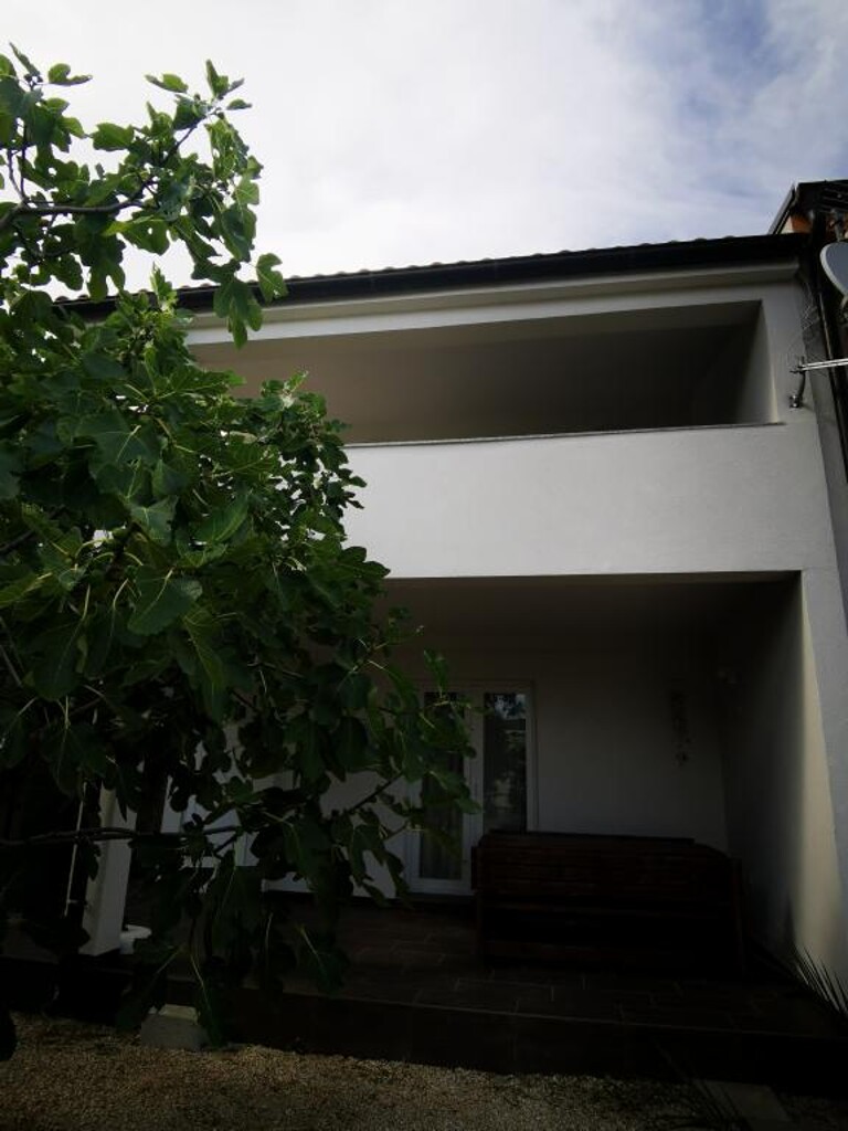 Image 3811382 - 7