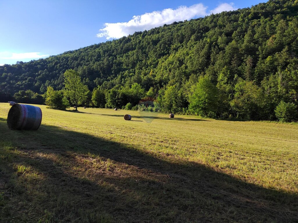 Image 13