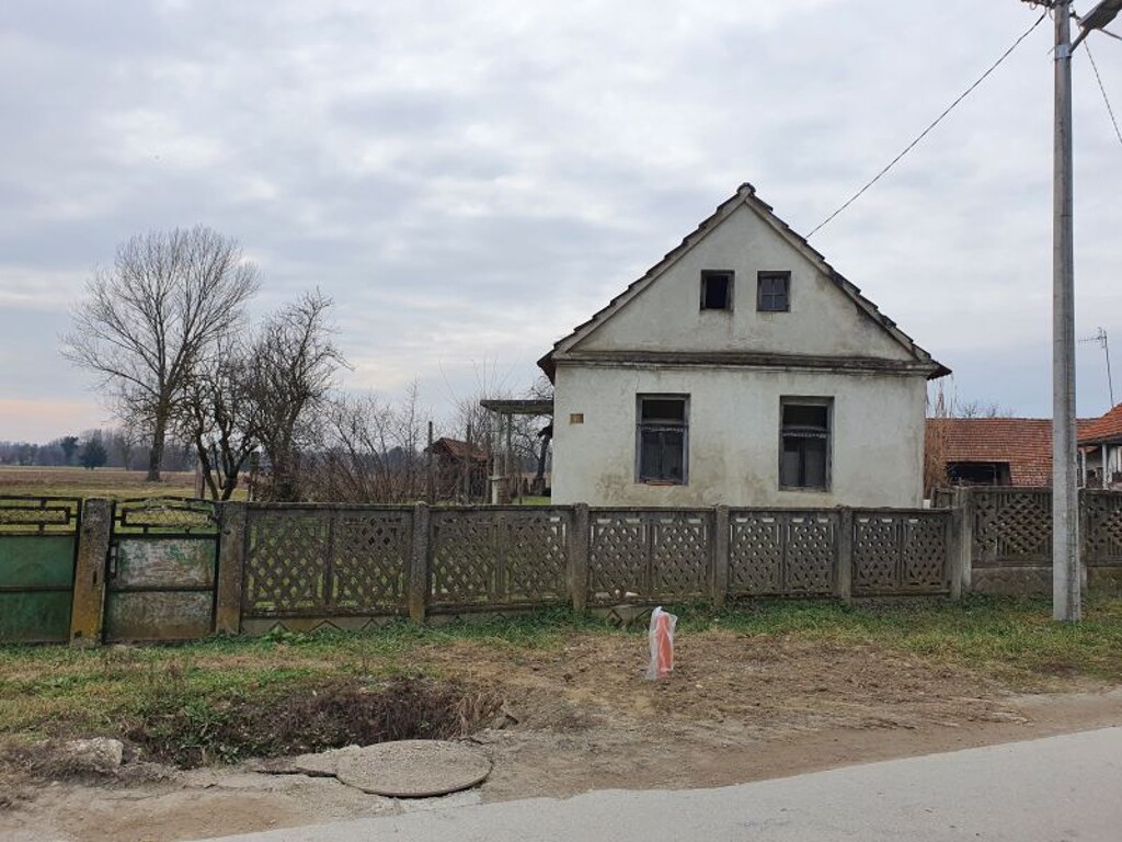 Image 13