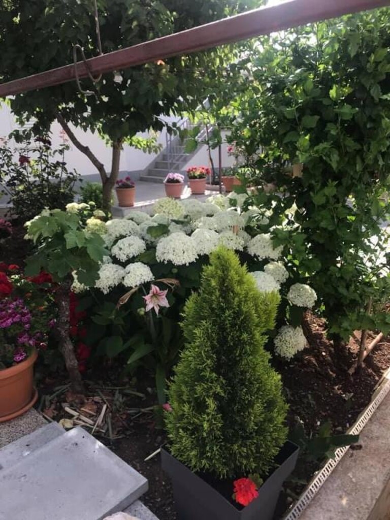 Image 22