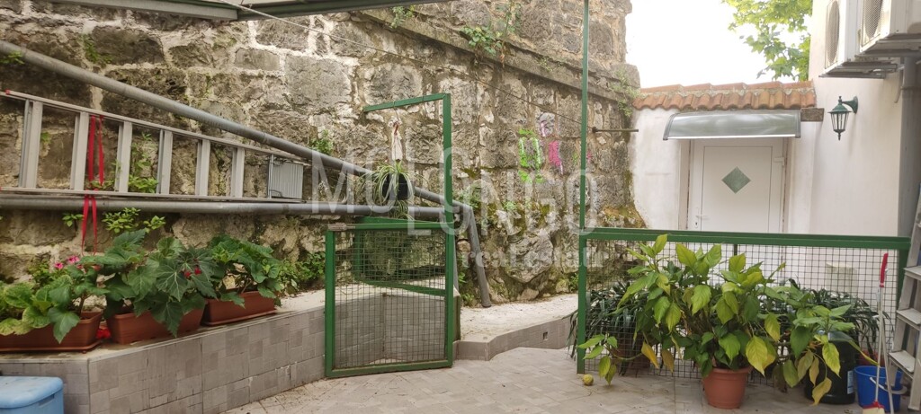Image 13