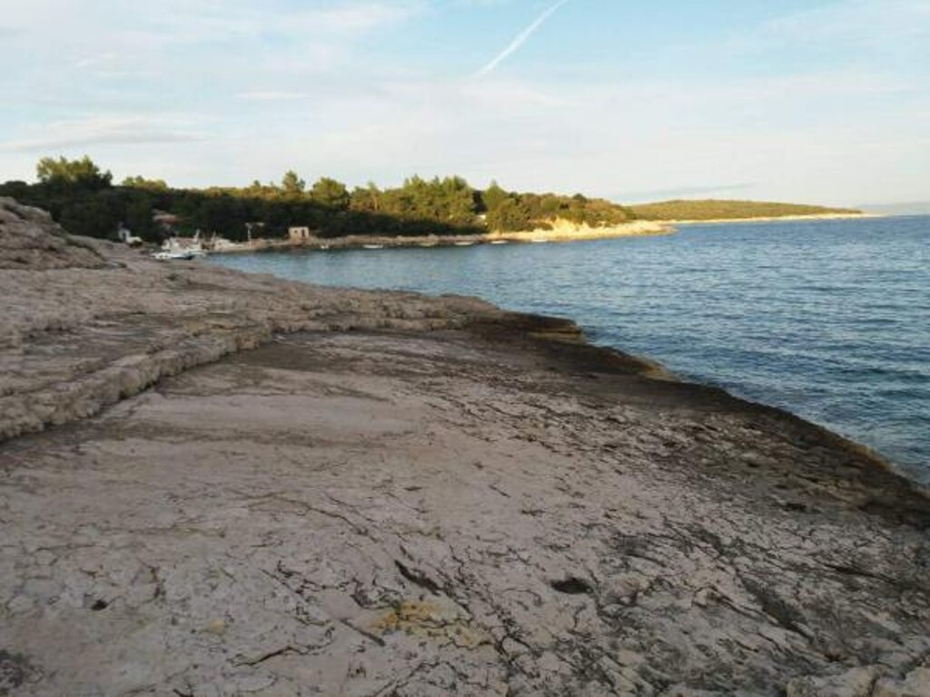 Image 3815212 - 10