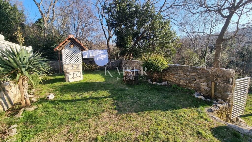 Image 25