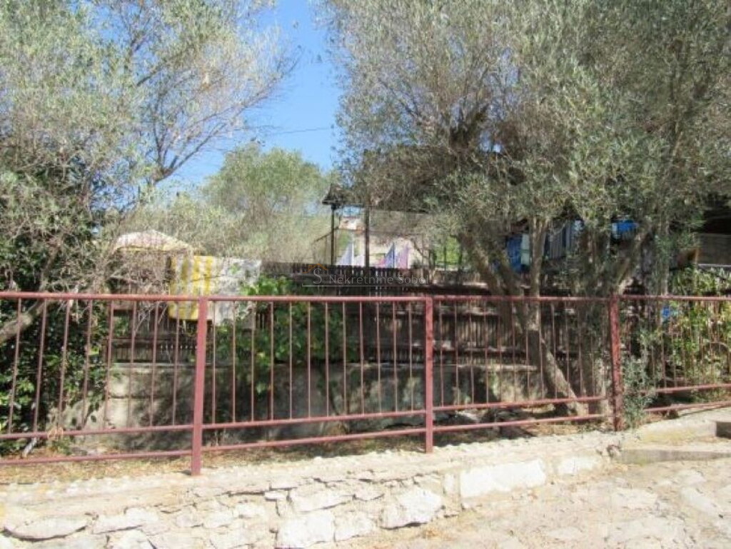 Image 14