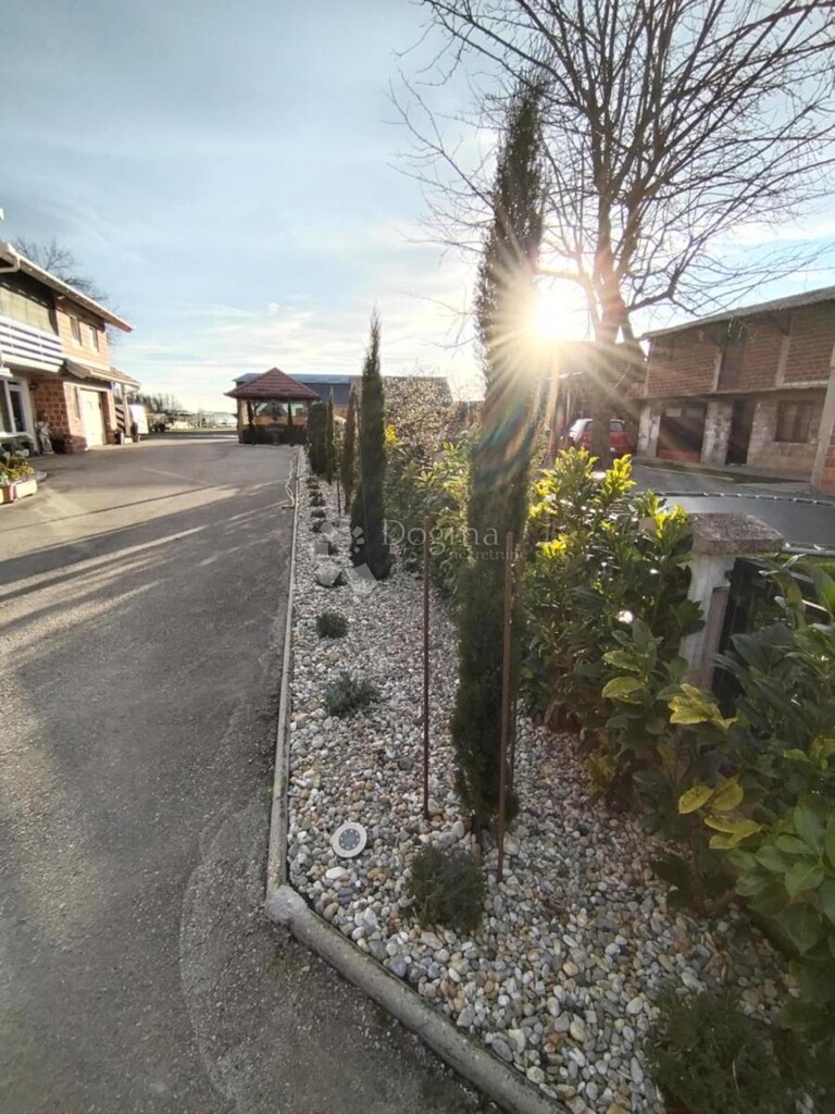 Image 14