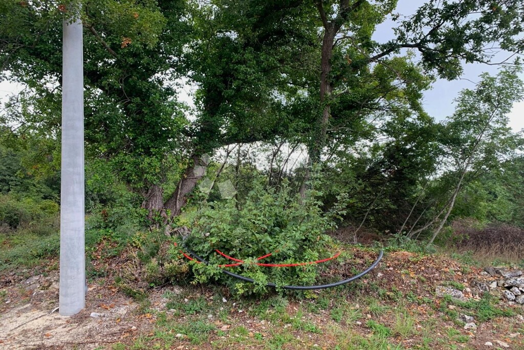 Image 14