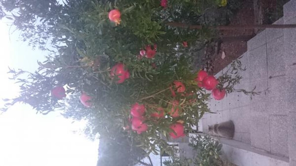 Image 3814813 - 6