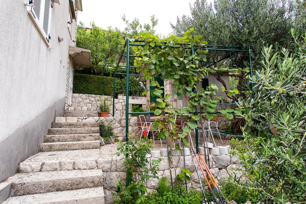 Image 3838477 - 13
