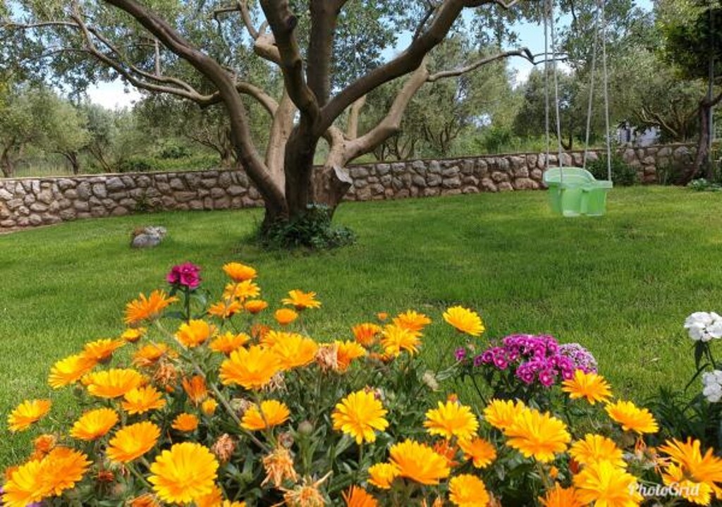 Image 3811633 - 9