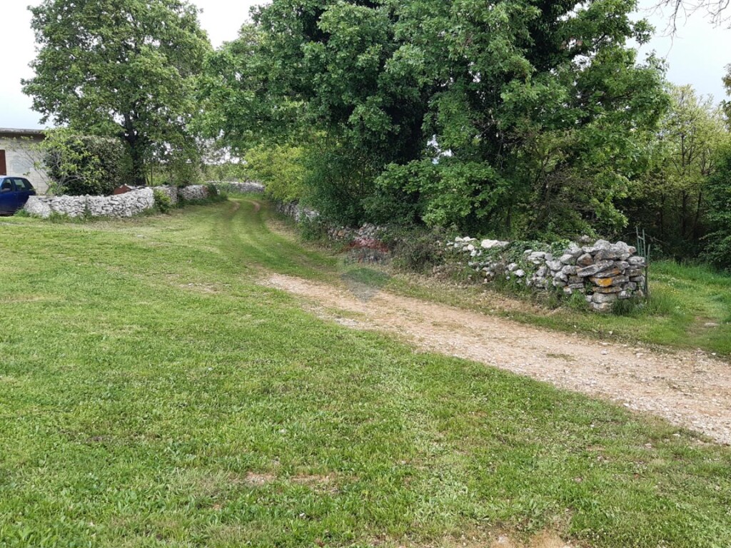 Image 14