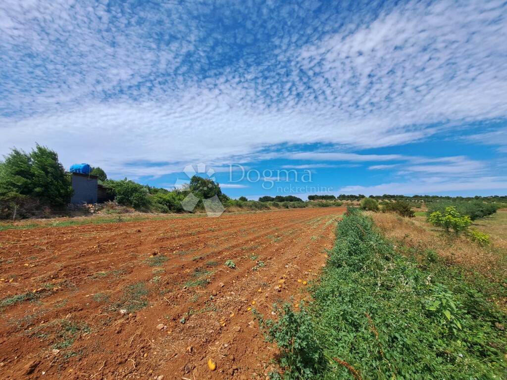 Image 13