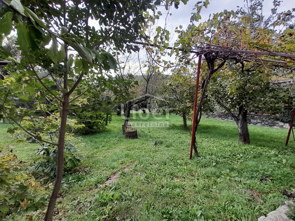 Image 6149824 - 23