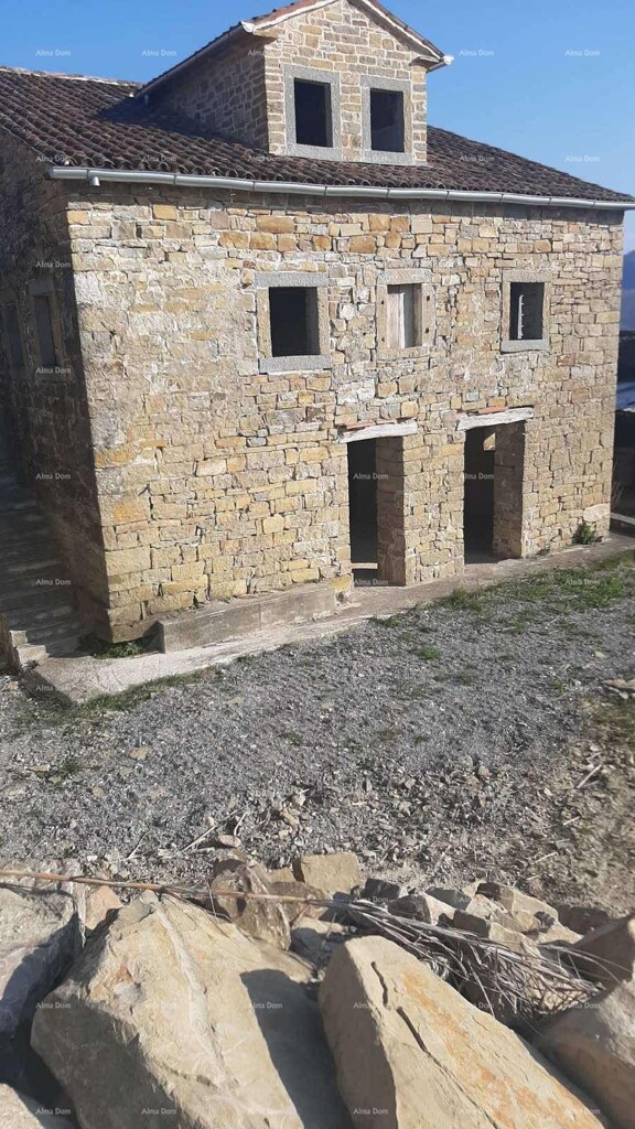 Image 10