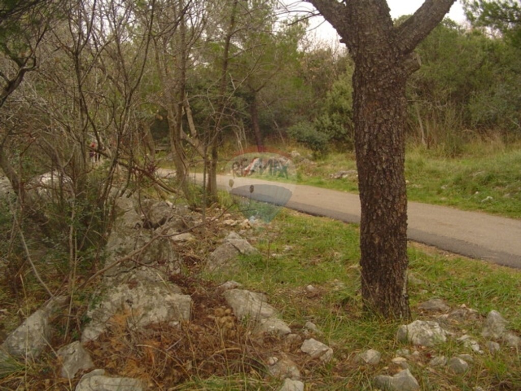 Image 5411107 - 5