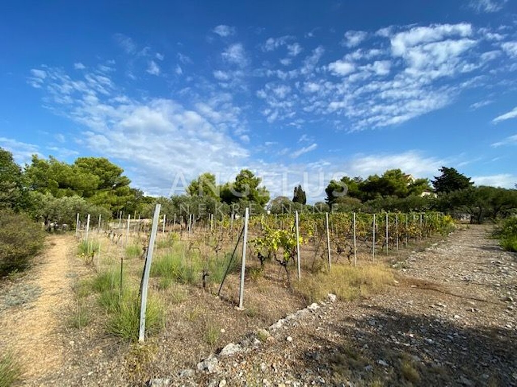 Image 6208777 - 7