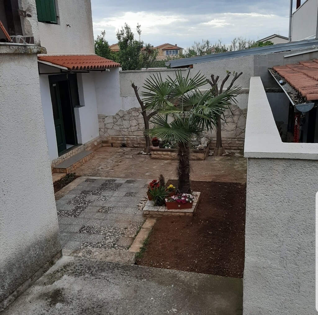 Image 21